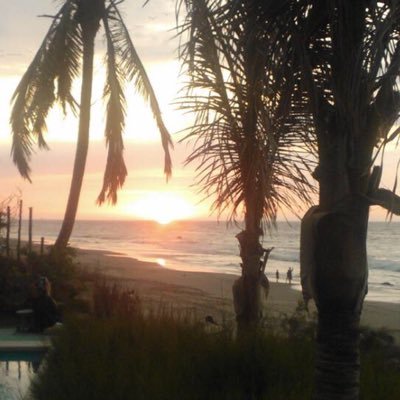 PGastaneta's profile picture. 