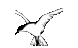 HRUFC's profile image