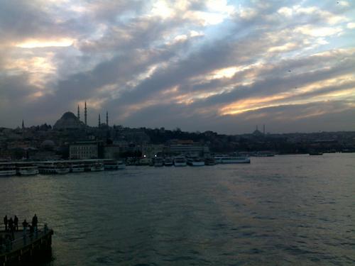 Ma_ri_le_na's profile picture. 