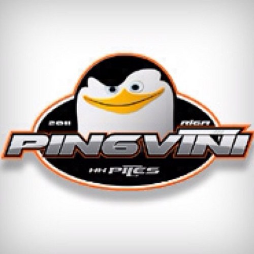 HKPingvini's profile picture. 