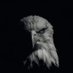 Ali (@ali223847153019) Twitter profile photo Ali (@ali223847153019) Twitter profile photo