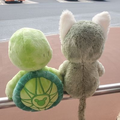 小学2年生の娘チャン
就学して気がついた学習障害の可能性!!
書字より読字の方が❌数の概念も未定着
25.2WISCとPARSとLDI検査済
ADHD+ASD診断済 LD診断付かず
▫心の不安放出場所
▫娘の成長記録
▫25.9シングルマザーに。
無言フォローしてすみません。イイネは応援・共感✨