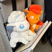 みっきー (@mikkii_mon) 's Twitter Profile