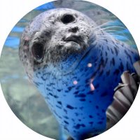 𓈒𓏸 中野𓅯 ⸒⸒ (@_gomanan0o) 's Twitter Profile Photo 𓈒𓏸 中野𓅯 ⸒⸒ (@_gomanan0o) 's Twitter Profile Photo