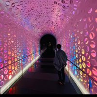 ちこ (@guricome) 's Twitter Profile