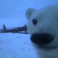 Els (@nocaresera) 's Twitter Profile Photo