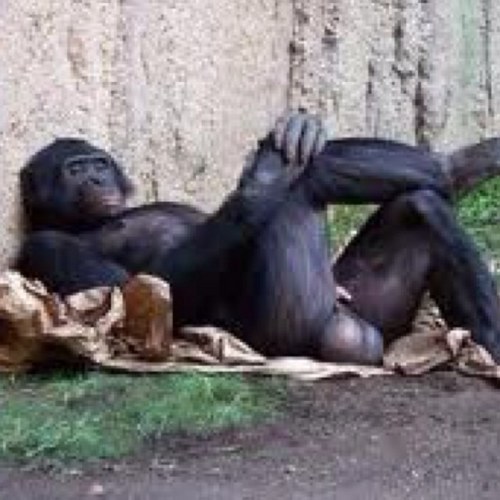 Real_Scott's profile picture. 