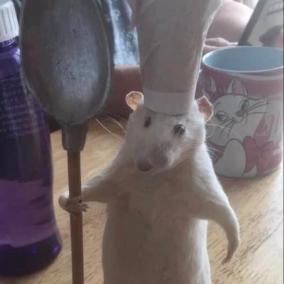 tzZmbLhSgKOTjR7's profile picture. 