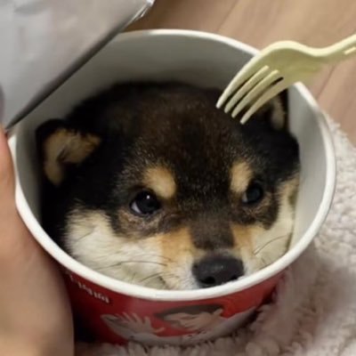 manggu1377's profile picture. 연공계