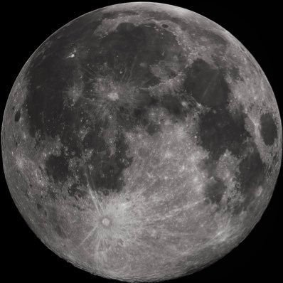 SImavov6431's profile picture. 