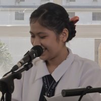 Pibi (@_piibi) 's Twitter Profile
