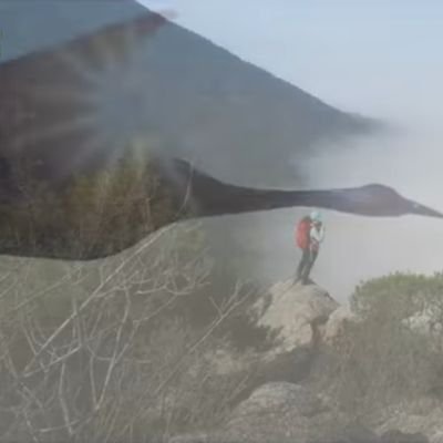 joanshkoo197385's profile picture. As Elon Musk said~~..👍
Occupy Mars!! 👏
Sorry, I'm not a DM userㅡㅡ Really sorry..