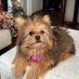 Betty beltran (@bettybeltran24) Twitter profile photo Betty beltran (@bettybeltran24) Twitter profile photo