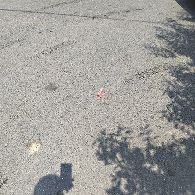 lucky60204's profile picture. 