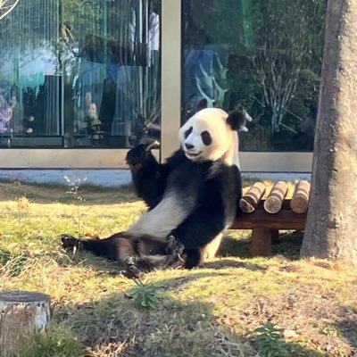 TatRichCultura's profile picture. 