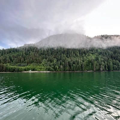 StackAttack1023's profile picture. 