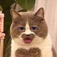 เปาเป๊าหมู (@jk97nthac) 's Twitter Profile