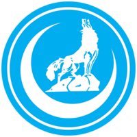 Muâllîm🐺 (@aemuallim) Twitter profile photo