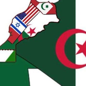 senghoulslayer's profile picture. دورة اعادة تربية السناغلة واجب لكن انسان