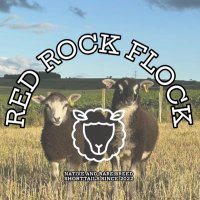 Red Rock Flock (@madsiecairnie) Twitter profile photo