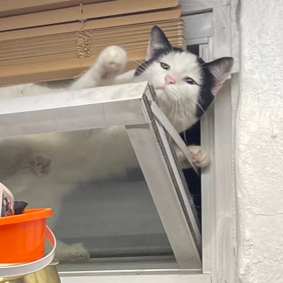 xXtubatimXx's profile picture. Not French, fried. Being square is lame. Former tuba player for Casual Badger.