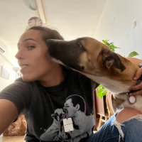 Stuv Schaffer (@stuvs7) 's Twitter Profile Photo