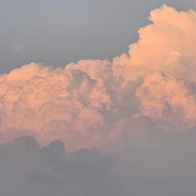 forest_wmz's profile picture. 행복하자