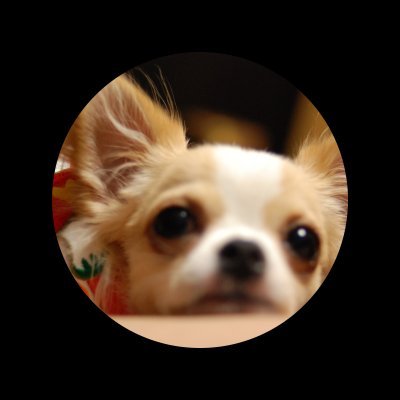 quon_ofu's profile picture. Figma, Photoshop, Illustrator, HTML+CSS, nunjucks, SCSS, BEM, Vite, WordPress, JavaScript, Git ...