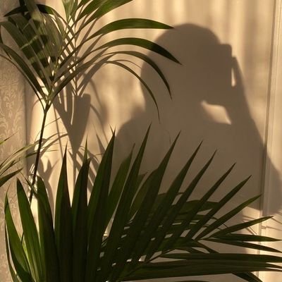 DfoOoy's profile picture. - ربي اغفِر لي وارحمني واجبُرني واهدِني وارزُقني