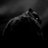 makaleLW's profile image
