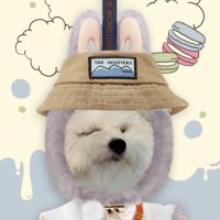 พี่เลี้ยงน้องแอชเชอร์ (@phoenixwuth) 's Twitter Profile Photo พี่เลี้ยงน้องแอชเชอร์ (@phoenixwuth) 's Twitter Profile Photo