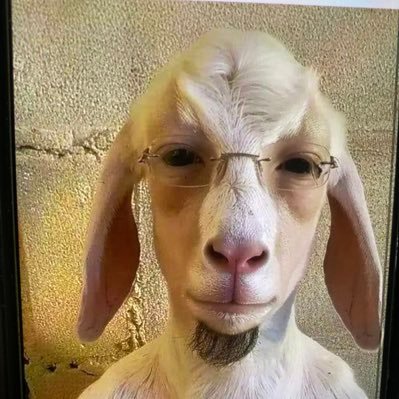 datd4n1's profile picture. 