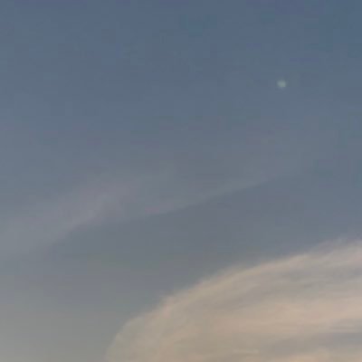 amorefin3's profile picture. bye