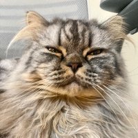Eatokra (@eatokra) 's Twitter Profile
