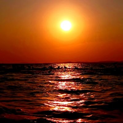 aarjay1977's profile picture. 