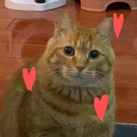 mooom (@xxi_moderato) 's Twitter Profile Photo mooom (@xxi_moderato) 's Twitter Profile Photo