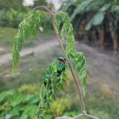 FuelSungir52980's profile picture. 💙 https://t.co/f383aM0etU Army