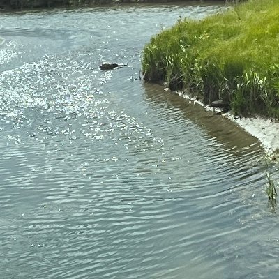 arbor_day6's profile picture. 28