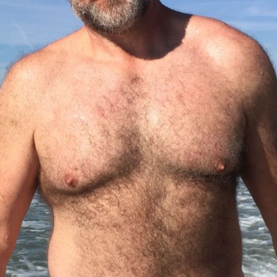 solidnhairy's profile picture. 🔞Just another piggy hairy bear daddy type in Los Angeles.  Fan of amateur videos./Otro tipo oso, morbo y peludo.  Soy fan de videos caseros tipo amateur.