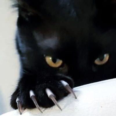 ivop's profile picture. 