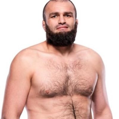 professional mma analyst and content creator