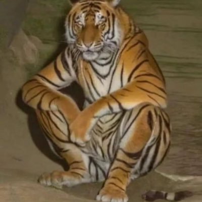 higuyswhatsup1's profile picture. Poor