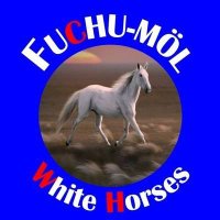 ふちゅモル (@fuchu_mol) 's Twitter Profile
