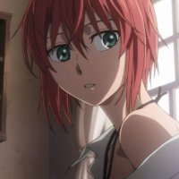 Chise (@chisehatoriban) 's Twitter Profile Photo Chise (@chisehatoriban) 's Twitter Profile Photo