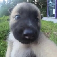 ☆ (@jaehyungravido) 's Twitter Profile
