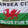 fattysleg74's profile picture. Love Swansea, hate Cardiff!
Hot dogs for tea.