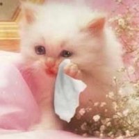 deleted user (@crackrockheart) 's Twitter Profile Photo deleted user (@crackrockheart) 's Twitter Profile Photo