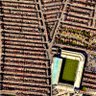 Craigefc28's profile picture. Main stand. Everton. UTFT.