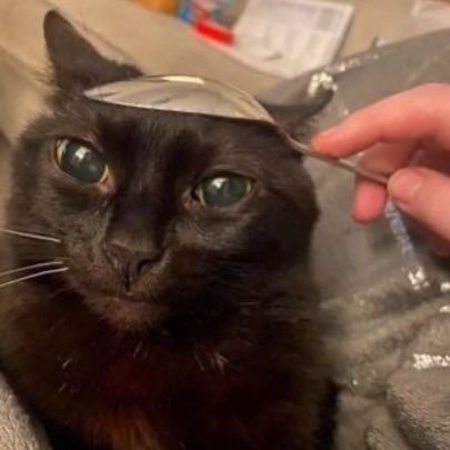 Xm3Ga's profile picture. 