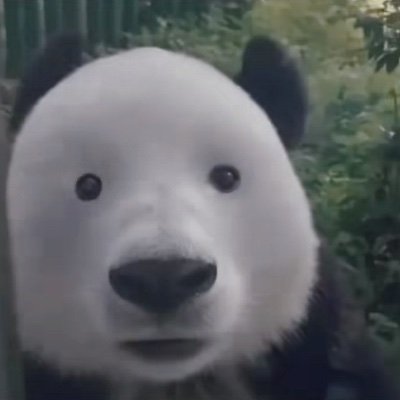 Eramekinidesuma's profile picture. Que pro